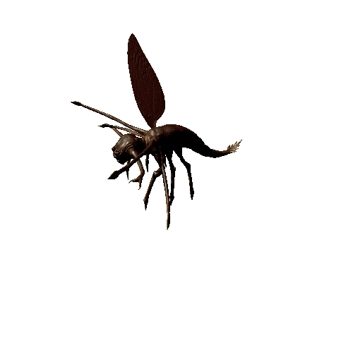 uploads_files_3693656_Bug_3_RIG_FBX (2)